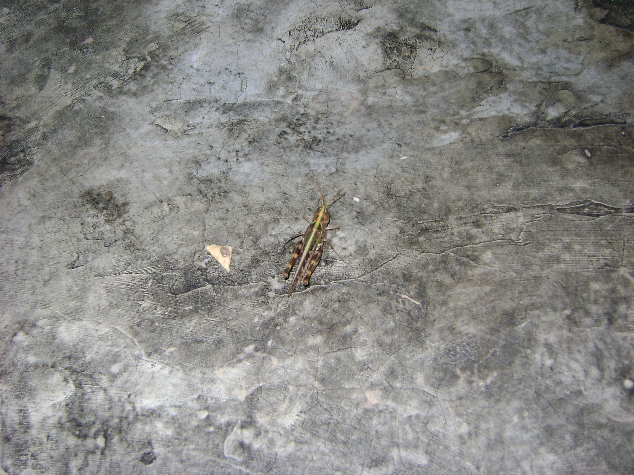 fotos/2011 - Los Reartes/DSC03527.JPG